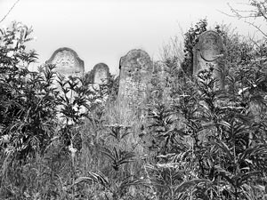 Cimiteri ebraici dell'est Europa - Cimitero di Stanivtsi, Ucraina